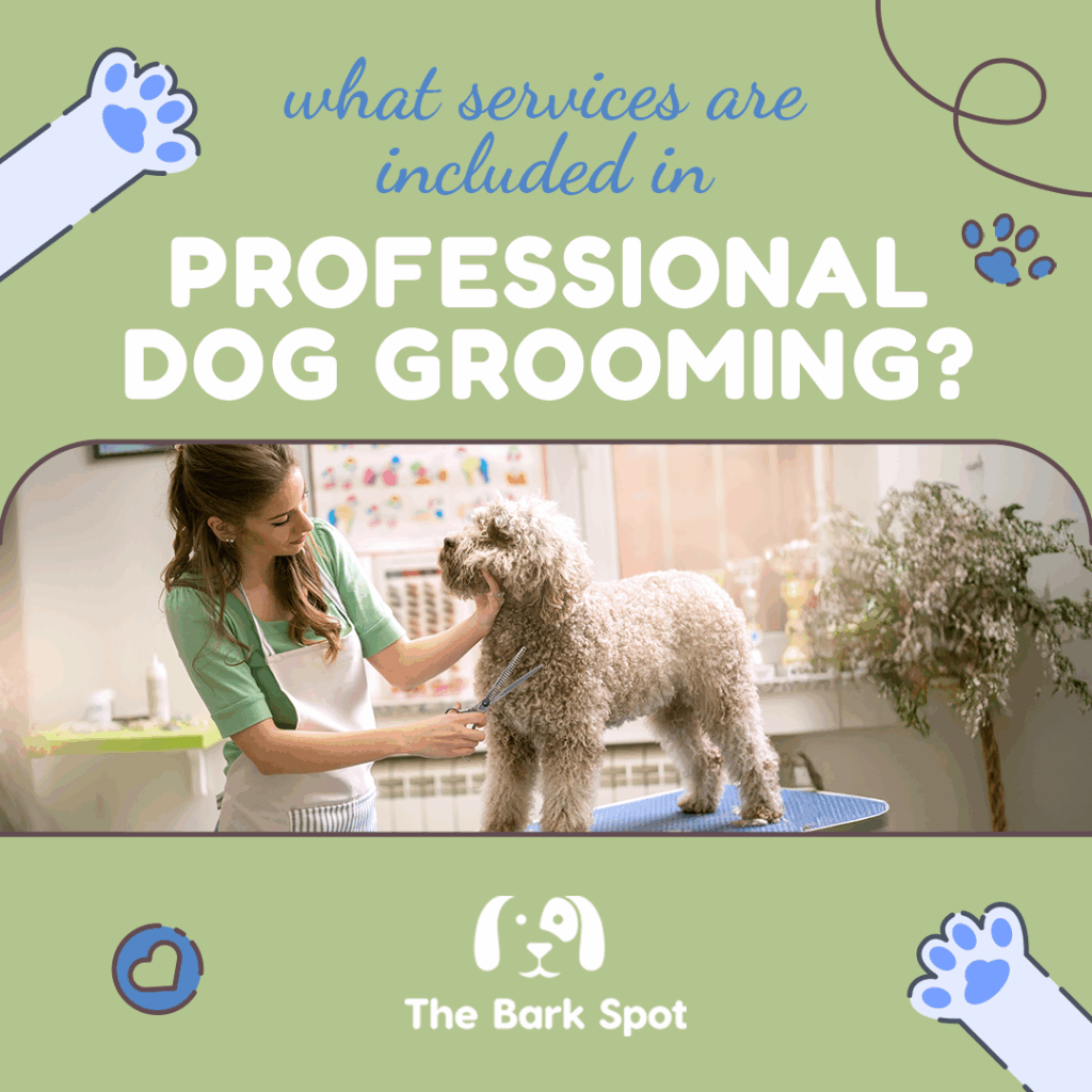 dog grooming