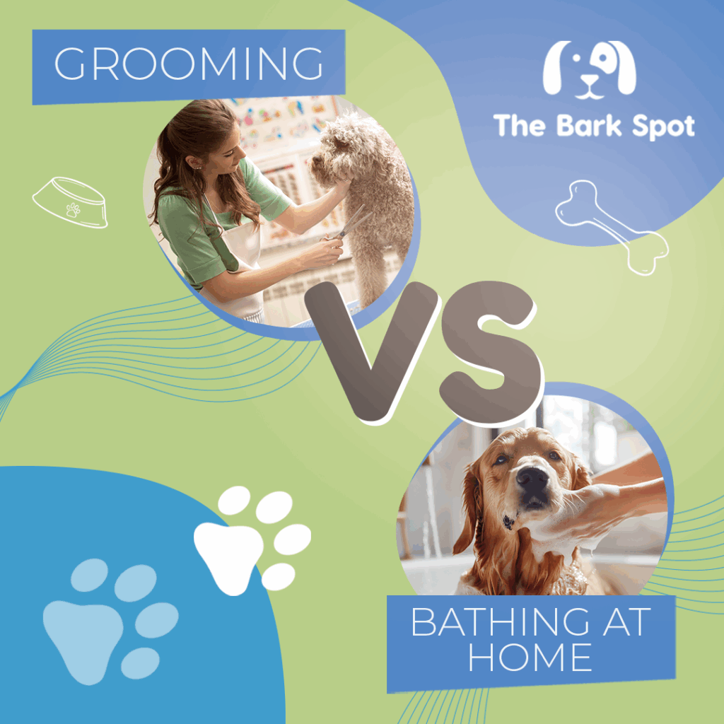 dog grooming