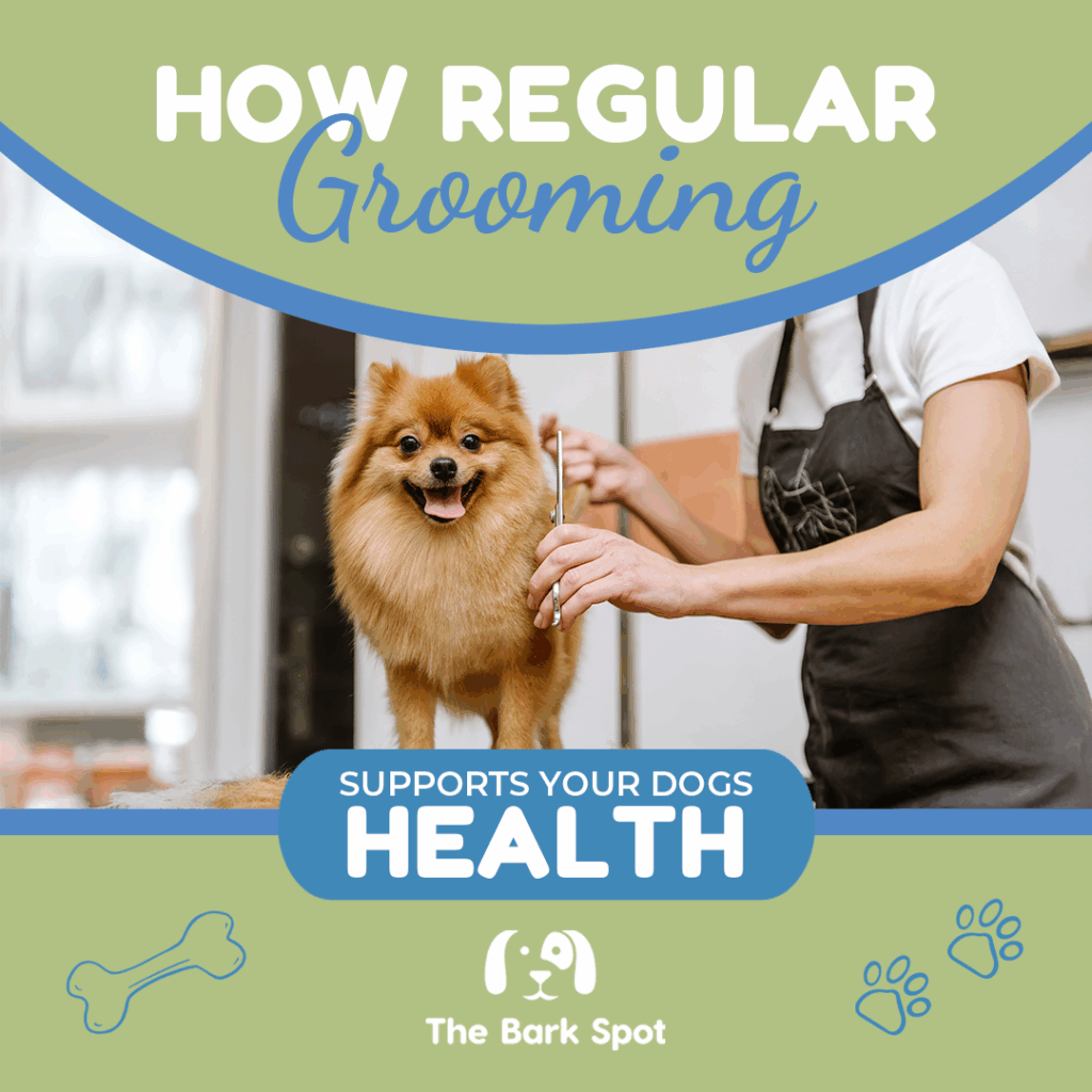 regular dog grooming