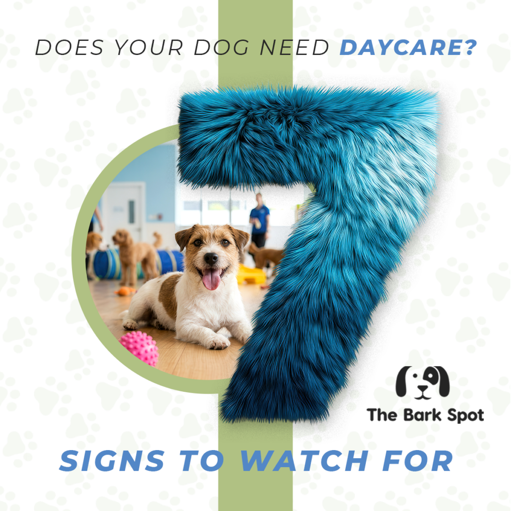 daycare